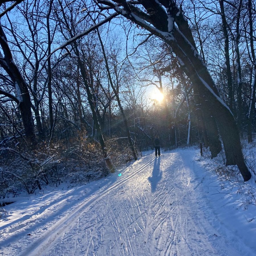 Ski trail through the woods groomed for both classic and skate