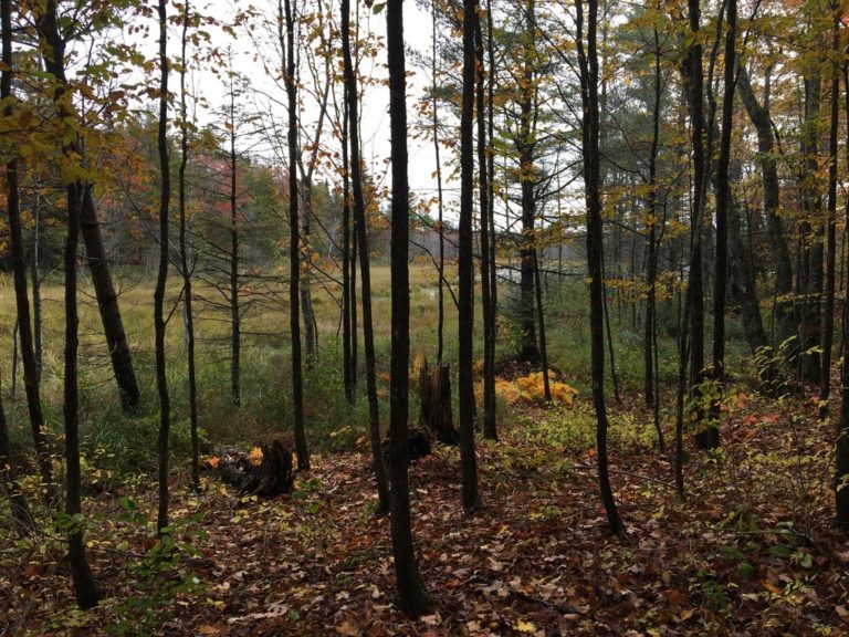 Fall Club OutingINDIAN LAKE* this Sunday! Madnorski